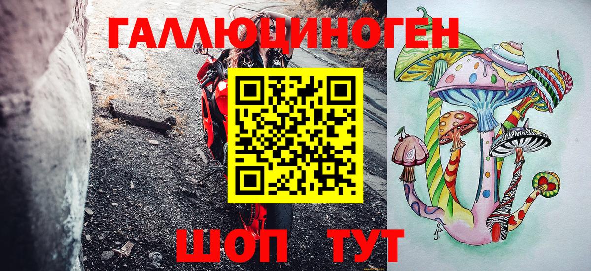 Галлюциногенные грибы Psilocybine cubensis Серов