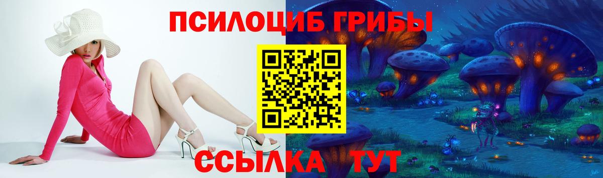Серов  Галлюциногенные грибы Cubensis  Вход с VPN  купить  цена  Псилоцибиновые грибы ЛСД 